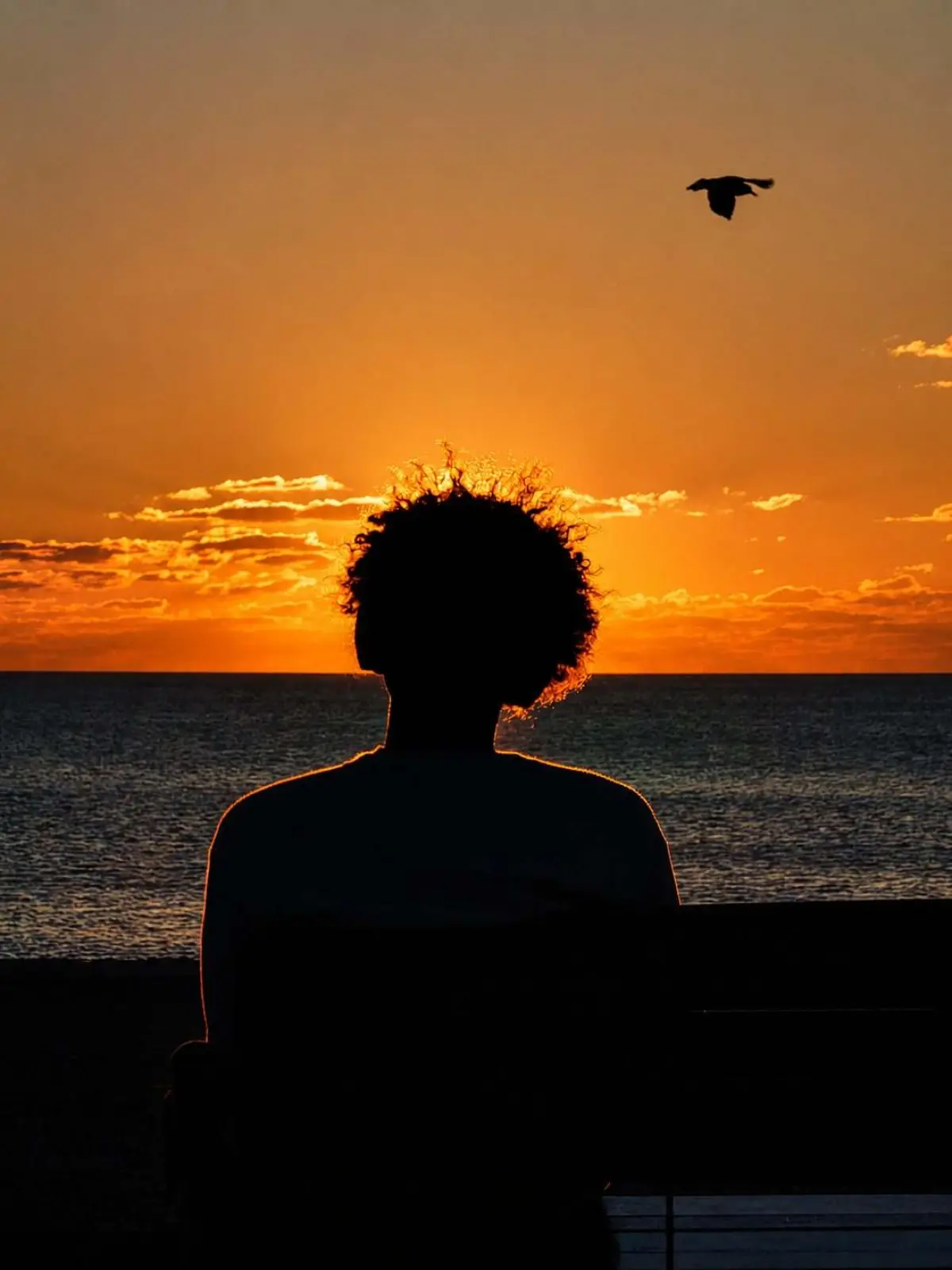 Silhueta ao entardecer